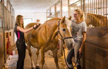 Holidays with horses in Wildschönau