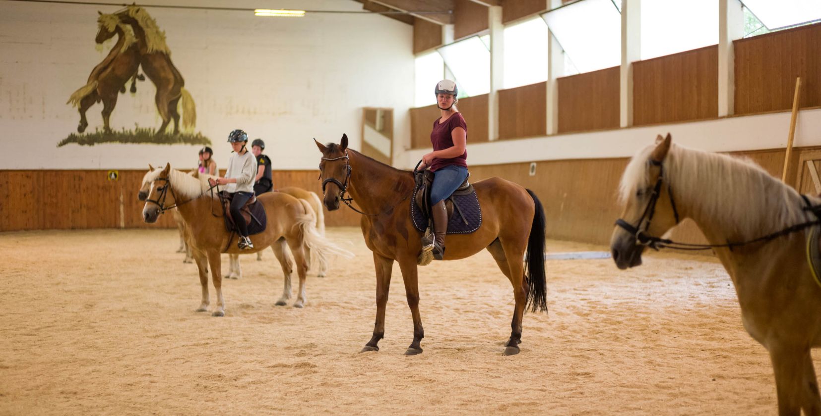Riding Lessons in the In-Door Riding Arena