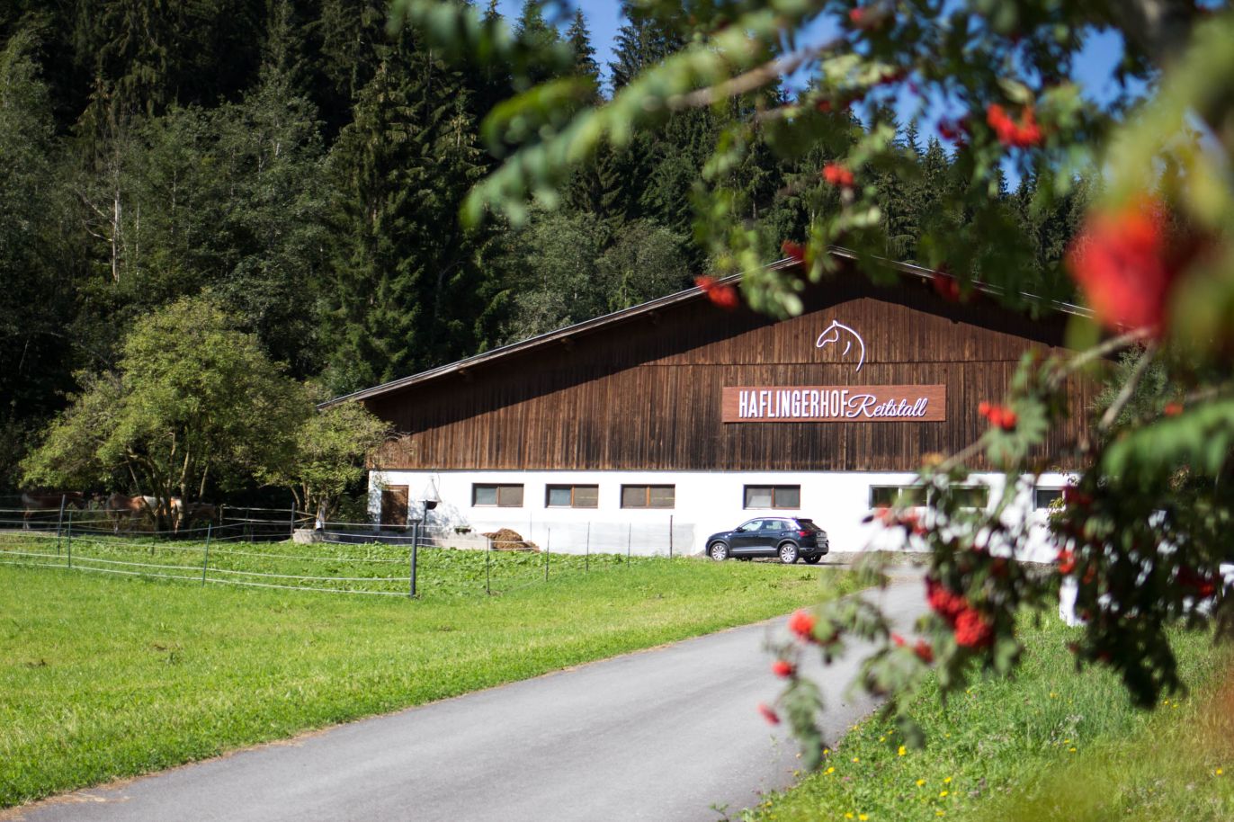 Haflingerhof Reitstall, Wildschönau