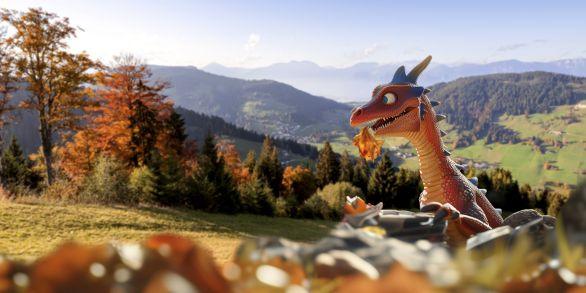 Talherbst-Angebot