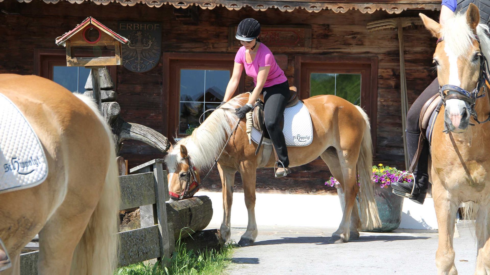 Reitausflug zum Bauernhof