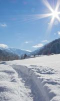 Schneebedeckte Wiesen in Tirol