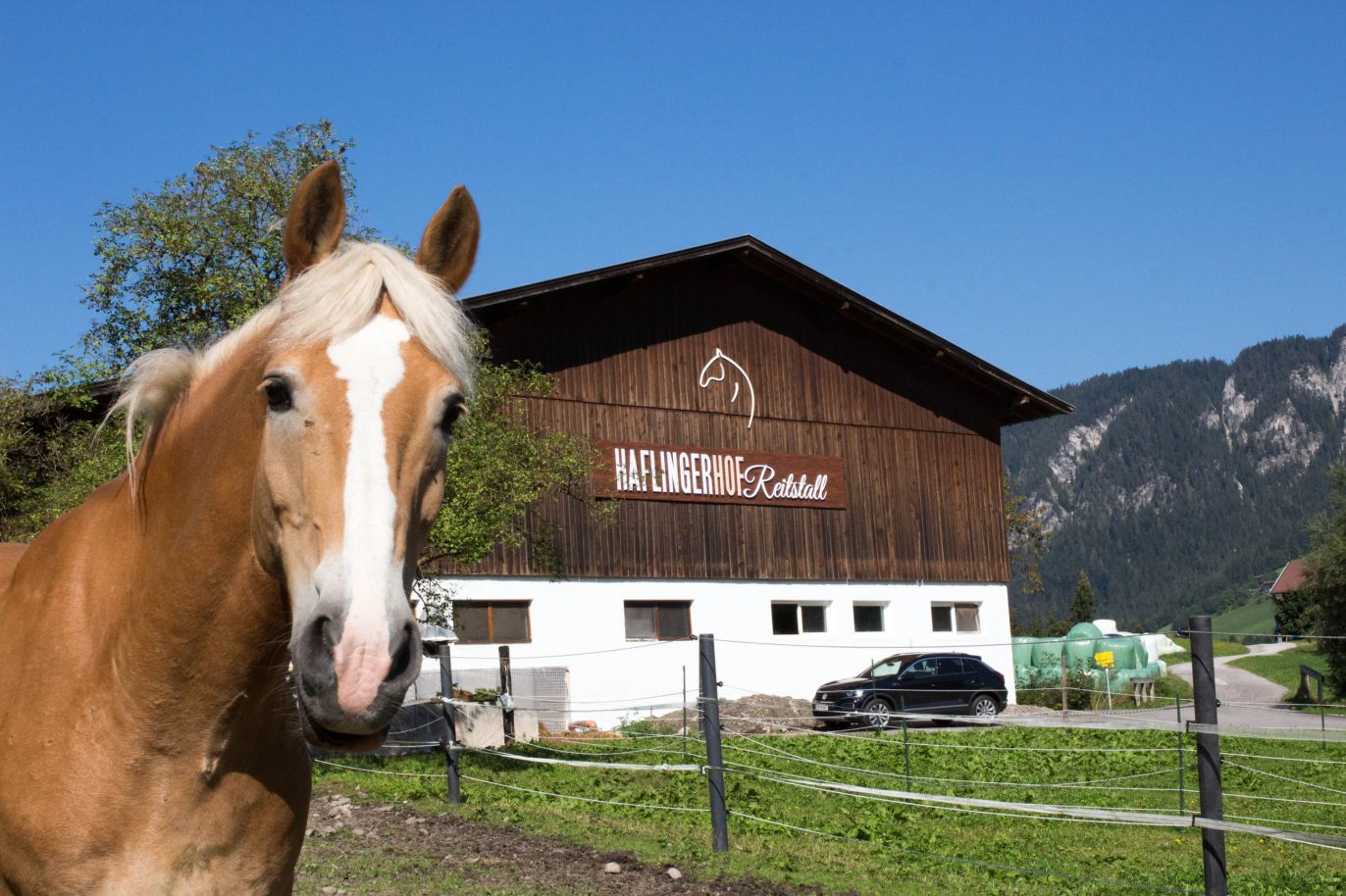 Haflingerhof Reitstall, Wildschönau