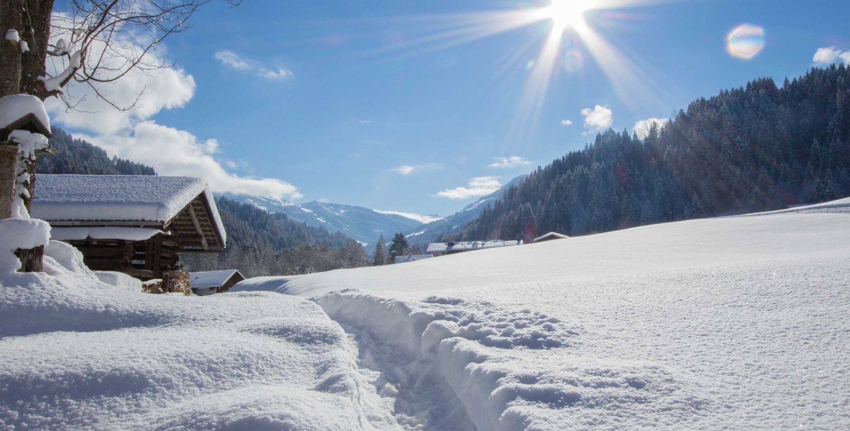 Snow-covered pastures in Tyrol