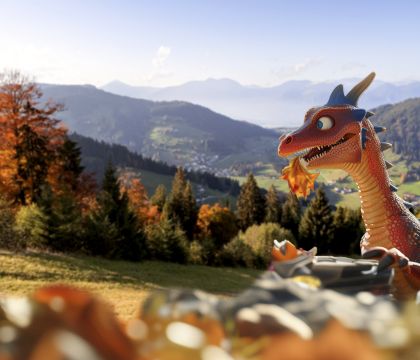 Talherbst-Angebot