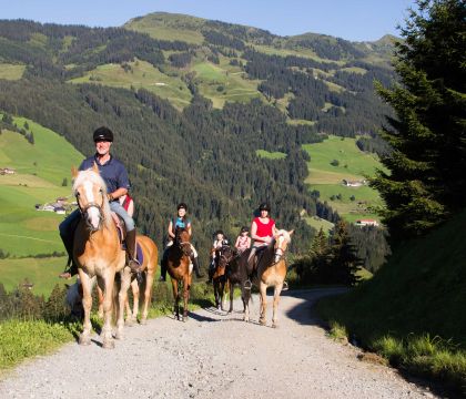 Kleines Reiterglück