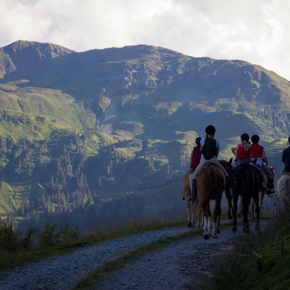 Horse Riding Holidays