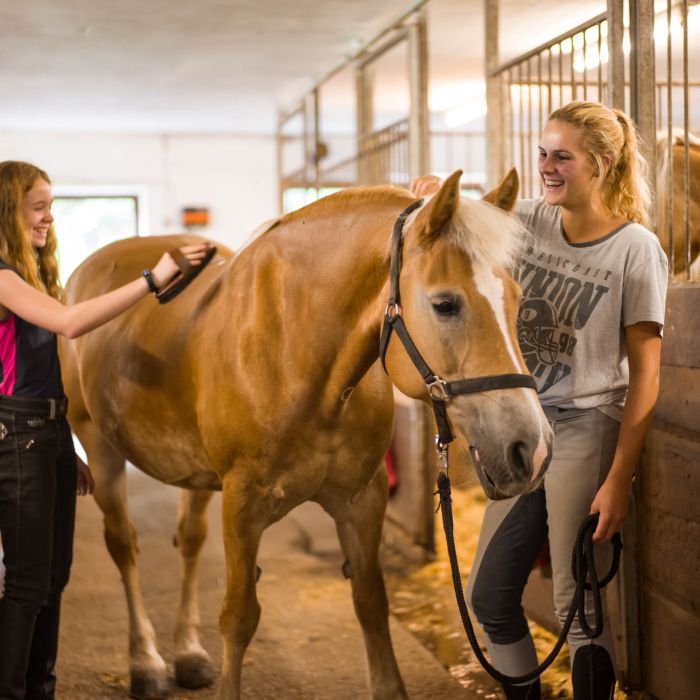 Holidays with horses in Wildschönau