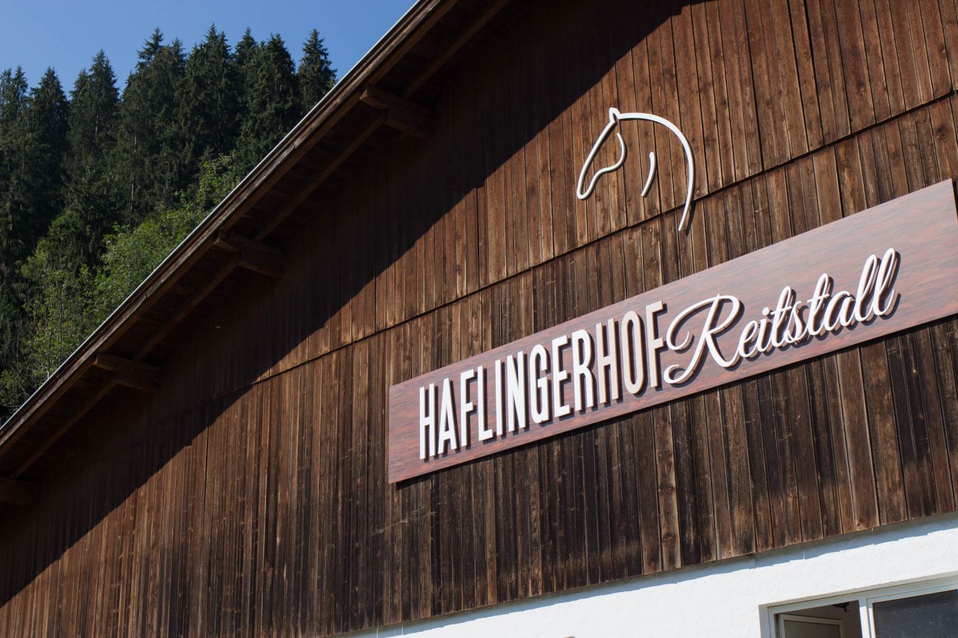 Haflingerhof Reitstall, Wildschönau