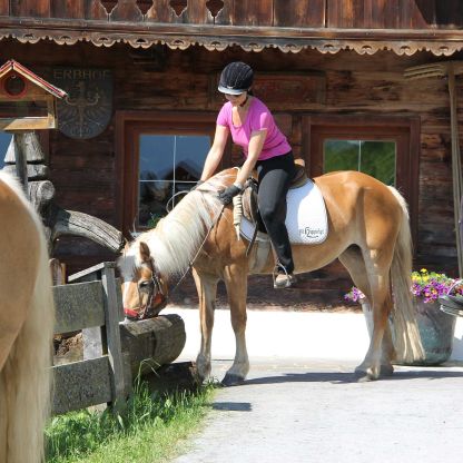 Reitausflug zum Bauernhof