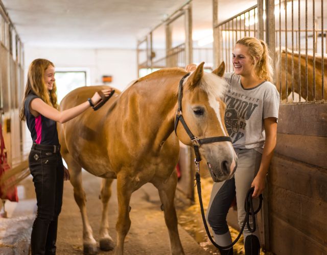 Pferde putzen im Reitstall Wildschönau