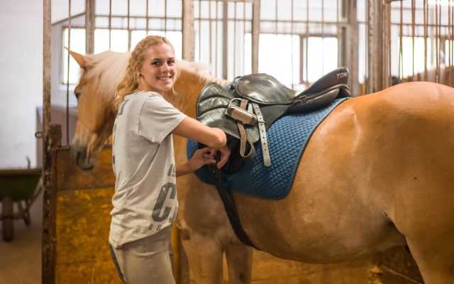 Holidays with horses in Wildschönau