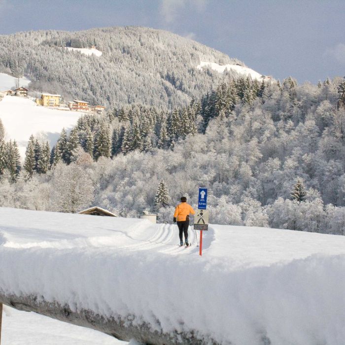 Cross-Country Ski Routes