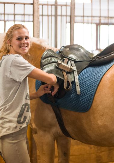 Holidays with horses in Wildschönau