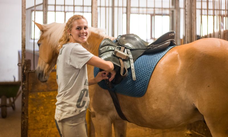Holidays with horses in Wildschönau