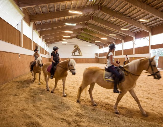 Indoor Riding Arena and Hotel Wildschönau