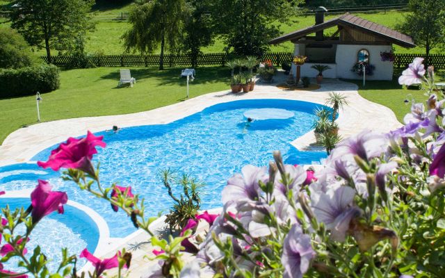 Hotel swimming pool top view